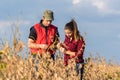 Farmers in soybean fields before harvest Royalty Free Stock Photo