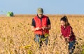 Farmers in soybean fields before harvest Royalty Free Stock Photo