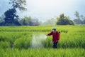 Pesticides is harmful to health