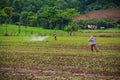 Farmers spraying pesticide