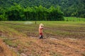 Farmers spraying pesticide