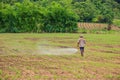 Farmers spraying pesticide