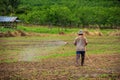 Farmers spraying pesticide