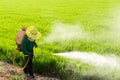 Farmers spraying pesticides Royalty Free Stock Photo