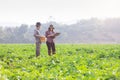 Farmers survey growth and quality using digital smart tablets to record data. Concept : Research and study problems in agriculture