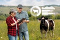 Farmers with tablet computer inspects cows in the pasture. Royalty Free Stock Photo