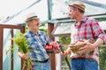 Farmers talking while carrying newly harvest carrots, tomatoes and potatoes at farm