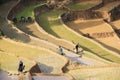 Farmers on Terraced rice fields in Vietnam