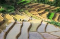 Farmers on Terraced rice fields in Vietnam Royalty Free Stock Photo