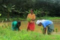 Indian Farmers