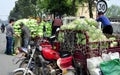 Pengzhou, China: Farmers with Cabbages Royalty Free Stock Photo