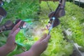 Farmers use futuristic tablet to inspect robotic arm harvest produce and monitor agricultural product vegetable farm,concept