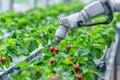 Farmers use smart farm automation robot assistant image processing to detect weeds and spray chemicals in vertical