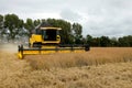 Farmers are using combine harvesters on spelt fielt