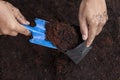 Farmers are using a shovel to put the soil mixing coconut dust in the nursery plastic black bag.