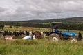 Farmers using a tractor to bring bags of feed to cattle