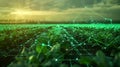 Farmers utilizing data from 5G sensors to create customized fertilization plans for different areas of their fields
