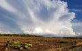 A farmers view of the clouds Royalty Free Stock Photo