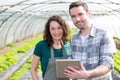 Farmers watching stats on tablet Royalty Free Stock Photo