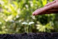 Farmers are watering small plants by hand Royalty Free Stock Photo