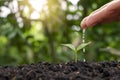 Farmers are watering small plants by hand Royalty Free Stock Photo