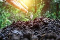 Farmers are watering small plants by hand with the concept Royalty Free Stock Photo