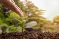 Farmers are watering small plants by hand. Royalty Free Stock Photo