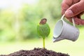 Farmers watering small seedlings, Seedlings are growing from abundant soil. Environment concept in earth day