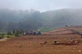 Farmers work in field digging up soil for vegetable garden Royalty Free Stock Photo