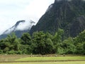 Farmers work at rice field Royalty Free Stock Photo