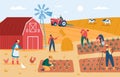 Farmers working at farm, harvesting crops, feeding animals. Countryside farmland with barn, windmill, garden and field