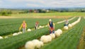 Farmers working on field in rural landscape - miniature figure, agriculture concept,ai generated