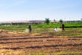 Farmers working on the fields