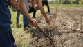 Farmers working in the fields