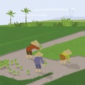 Farmers working in paddy field Royalty Free Stock Photo