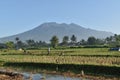 Farmers are working in the rice fields and beautiful view of Galunggung mountain in the morning. West Java Tasikmalaya
