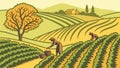 Farmers Working in Terraced Fields with Rolling Hills Background, vector design Generative AI Royalty Free Stock Photo