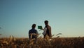 Farmers working wheat field with pad computer. Farmland managers checking crops