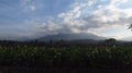 Farmfield,  mount  and clouds at Temanggung Central Java Indonesia Royalty Free Stock Photo