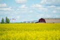 Farmhouse with Canola Field in Foreground with Canada Flags flying Royalty Free Stock Photo
