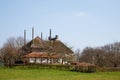 Farmhouse in Dutch landscape