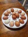 Farmhouse Farm fresh chicken eggs Royalty Free Stock Photo