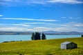 The farmhouse on a green meadow with pine trees by the lake Pukaki Royalty Free Stock Photo