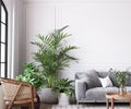 Farmhouse interior living room, empty wall mockup in white room with gray sofa, wooden furniture and green plant