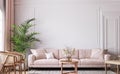 Farmhouse interior living room, empty wall mockup in white room with pastel pink sofa, wooden furniture and green plant