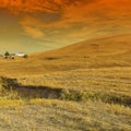 Farmhouse in a mystical light