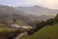 Farmhouse on ranch in rolling green hills of Northern California in mist Royalty Free Stock Photo