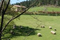 A farmhouse in the Basque Country on the slopes of Mount Urkiola one spring day