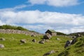 Farmhouse in Torshavn, Denmark. Old stone house in farm yard on cloudy blue sky. Typical rural architecture. Nature and Royalty Free Stock Photo