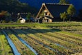 Farmhouses rice field